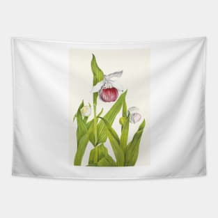 Showy lady's slippers - Botanical Illustration Tapestry