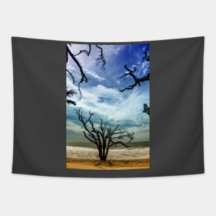 Edisto Beach South Carolina Tapestry