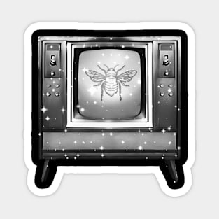 Cicada TV Magnet