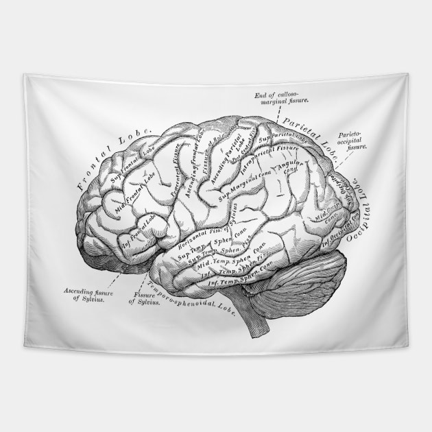 Human Body - Brain vol.3 Tapestry by be yourself. design