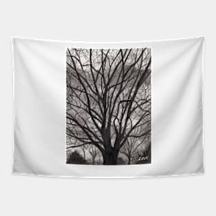 Evening Trees Tapestry