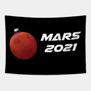 Mars 2021 Space Mission Space Tapestry