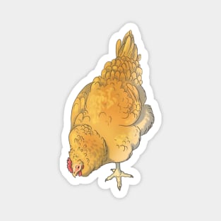 Pecking Buff Orpington Chicken Magnet