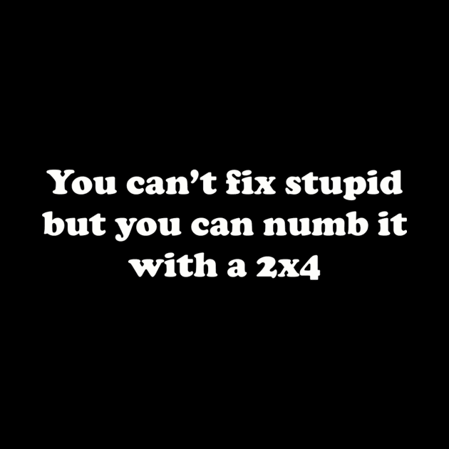 You can’t fix stupid but you can numb it with a 2x4 by TeeGeek Boutique