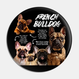 French Bulldog fun Facts Pin