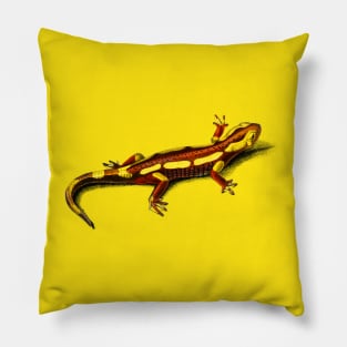 Vintage fire Salamander amphibian Pillow