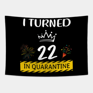 I Turned 22 In Quarantine Birthday Tapestry