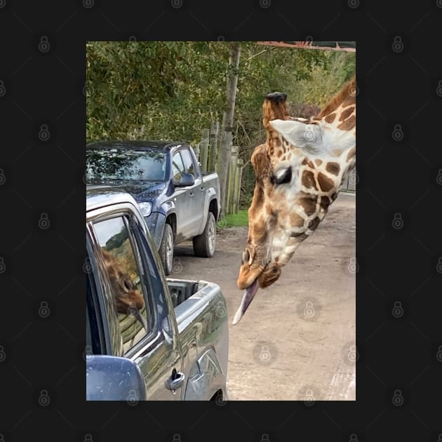 This Giraffe Thinks This Truck Might be Tasty by Bucklandcrafts