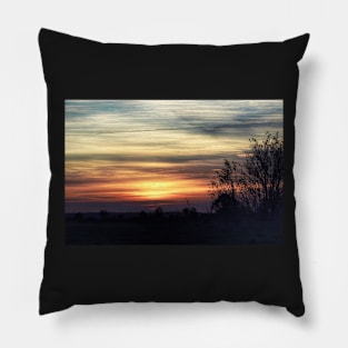 Wild Grasses at Sunset Pillow