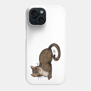 Cat - American Shorthair - Brown Tabby Phone Case