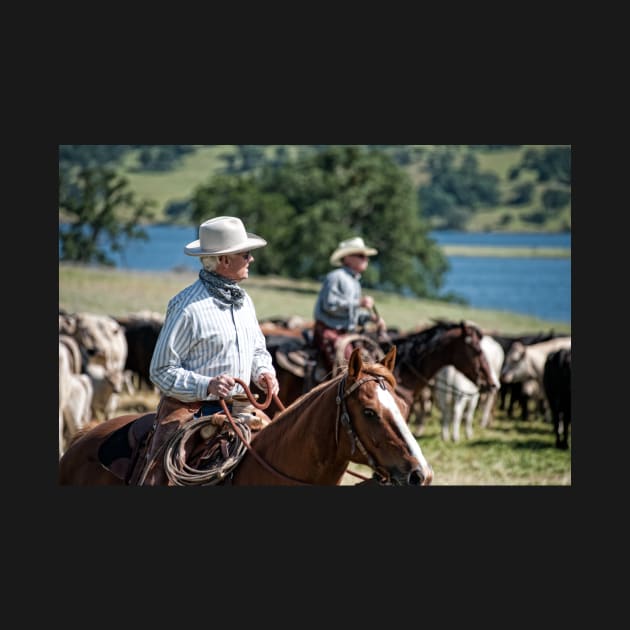 Preparing to herd cattle by randymir