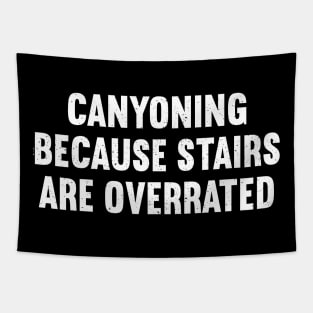 Canyoning Because Stairs are Overrated Tapestry