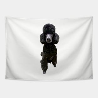 Poodle Gorgeous Style! Tapestry