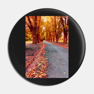 Autumn, Fitzroy Gardens Pin