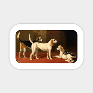 Fox Hounds by William Barraud Magnet