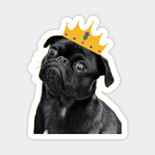 Black Dog with Crown Magnet