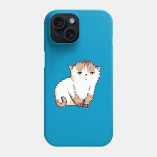 This cat is so done Phone Case