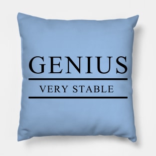 Genius, very stable Pillow