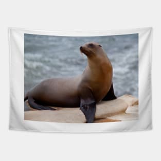 Sea Lion Tapestry