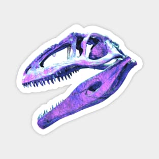 Dino Skull Magnet