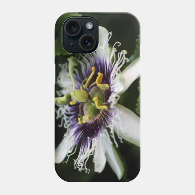 Passion Flower Closeup 3 Phone Case by ButterflyInTheAttic