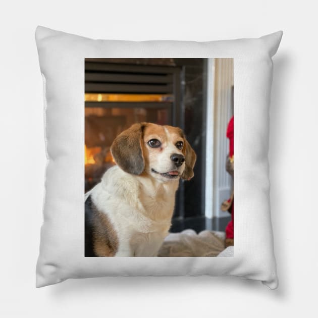 The Holiday Beagle Pillow by Layla's Surgery Fundraiser