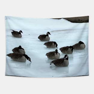 Canadian Geese Flock Resting On The Snow Tapestry