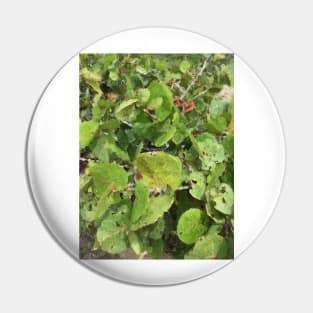 Leaves Pin