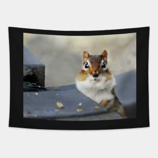 Bright eyed and bushy tailed Tapestry