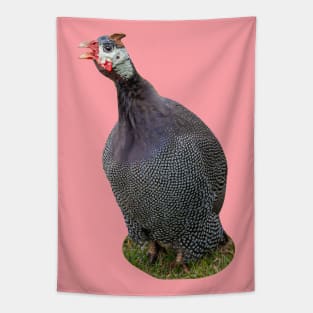 Helmeted Guineafowl Tapestry
