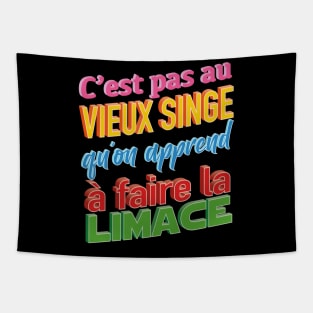 Vieux singe Tapestry