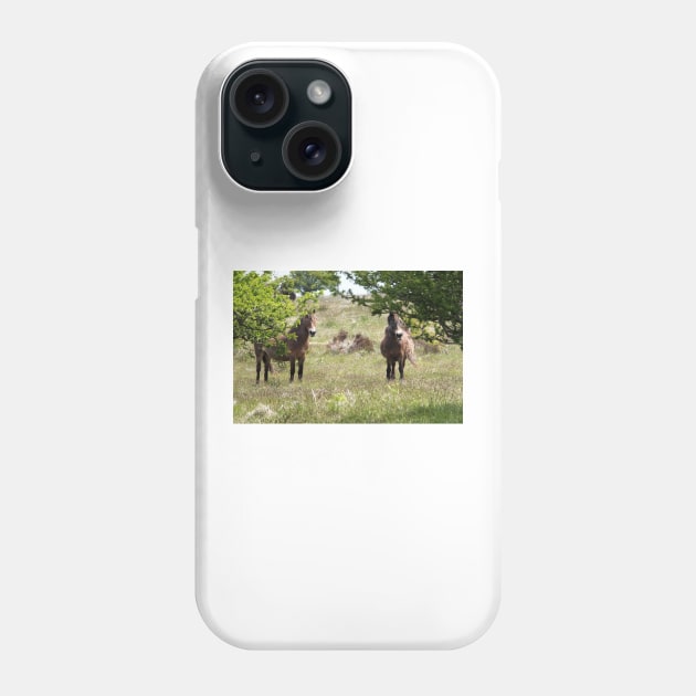 Exmoor Ponies Phone Case by pinkal