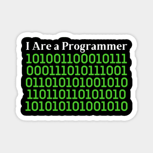 i are programmer Magnet