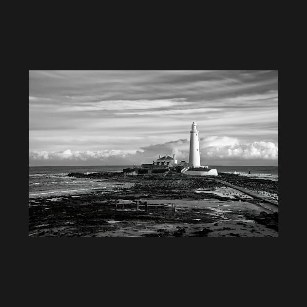 St Mary's Island in monochrome by Violaman