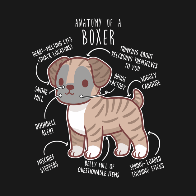 Boxer Dog Brindle Anatomy by Psitta