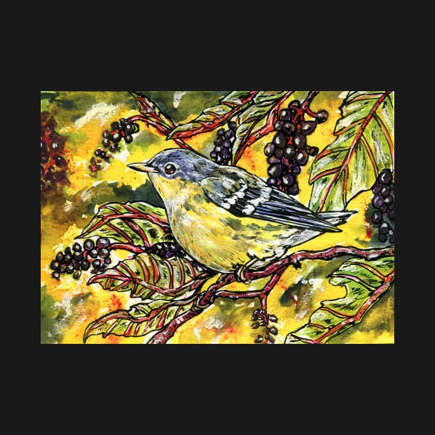 Magnolia Warbler by 10000birds