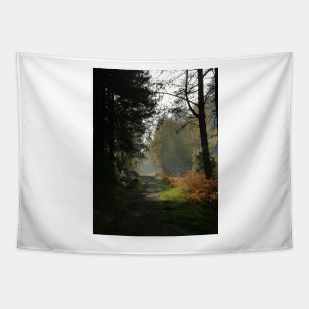 Forest Path in Fall Tapestry by jamesknightsart