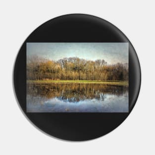 Winter Trees Reflected Pin