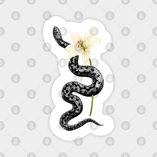 snake lover Magnet by Cŭte