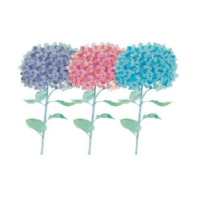 Hydrangeas multicolored watercolor by Designs by Twilight