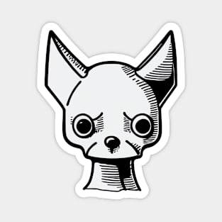 Nervous chihuahua Magnet