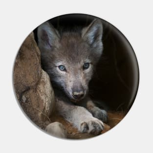 Young Gray Wolf Pin