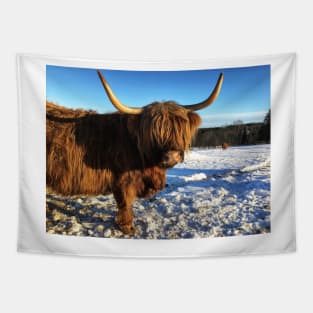 Scottish Highland Cattle Cow 2272 Tapestry