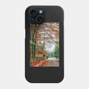 Street of Seasons. Phone Case