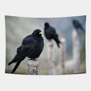 Birds  / Swiss Artwork Photography Tapestry