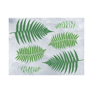 Minimalist Fern Fronds Foliage Leaves Pattern T-Shirt