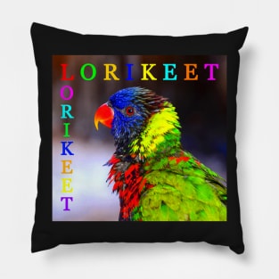 Lorikeet Pillow