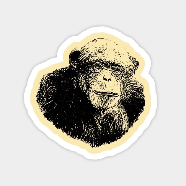 Chimpanzee Magnet by Guardi