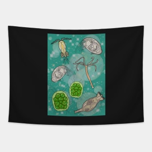 Freshwater Organisms Tapestry