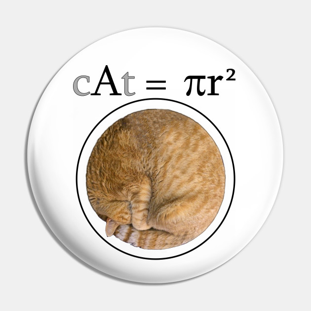 Cat Pr 2 Area Of A Circle Pin Teepublic Au